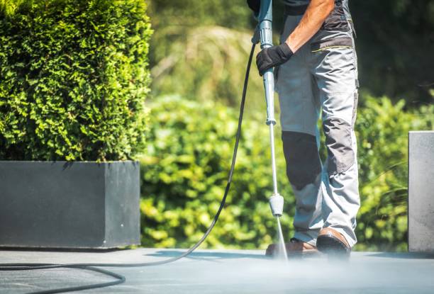 Best House Exterior Washing  in Spring Grove, IL