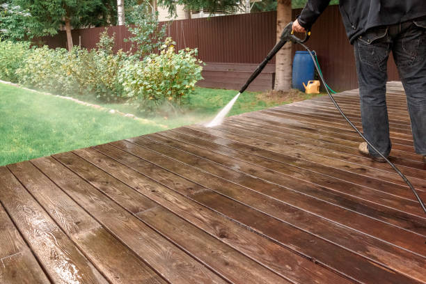 Best Boat and Dock Cleaning  in Spring Grove, IL