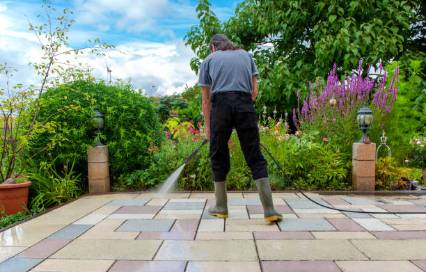 Best Patio and Deck Pressure Washing  in Spring Grove, IL